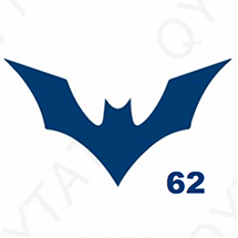 Jagua petite taille - Chauve-souris en vol