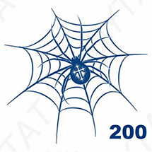 Jagua petite taille - Araignée dans sa toile