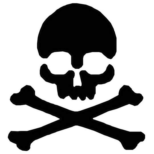 Pochoir Tete de mort 2 tattoo temporaire 4,5cm