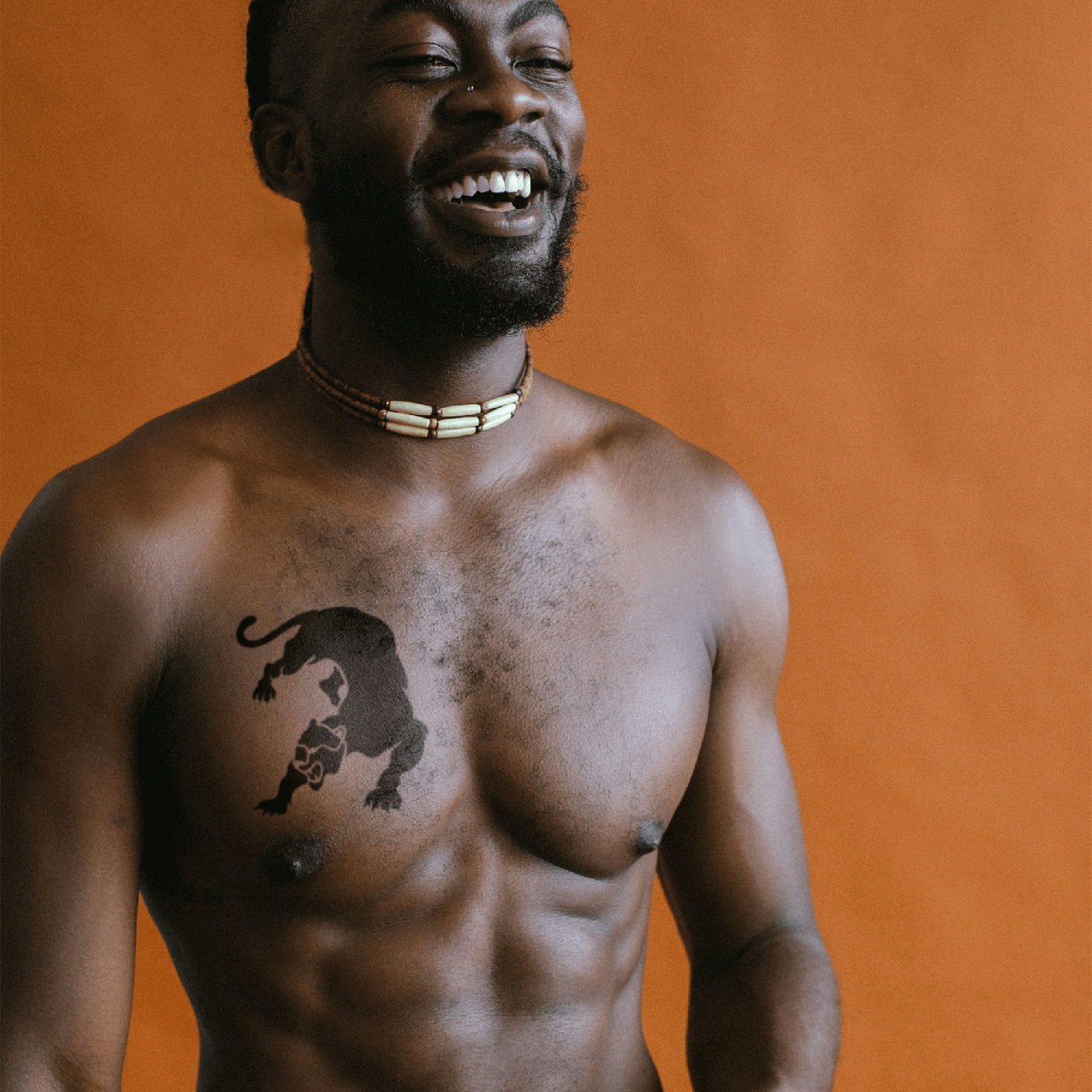 Pochoir panthère noire grande taille