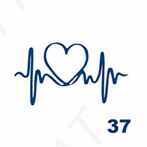 Jagua petite taille - Le rythme et les battements du coeur