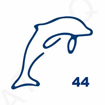 Jagua petite taille 5cm x 5cm - Dauphin