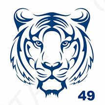 Jagua petite taille - Tête de tigre