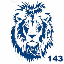 Jagua petite taille - Tête de lion et criniere