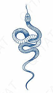 Plaquette de tatouage au jagua de serpent